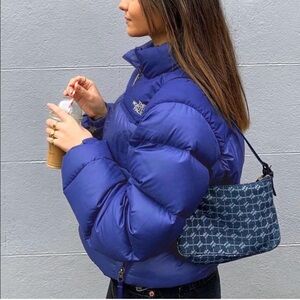 North Face 700 Nuptse Puffer Jacket